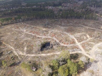 Tbd Allen Rd unit LotWP001, Meadville, MS 39653 - photo 6