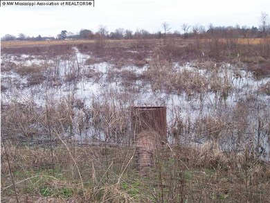 1 Fairhaven Loop, Crenshaw, MS 38621 - photo 2