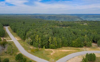 0 Bear Trace Dr unit 1324811, Jasper, TN 37347 - photo 2