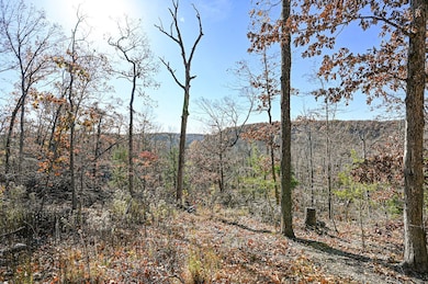 000 Swinging Bridges Rd, Brumley, MO 65017 - photo 2