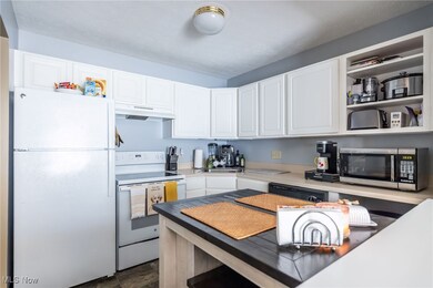 865 Overlook Ridge Dr unit 9F, Cleveland, OH 44109 - photo 5