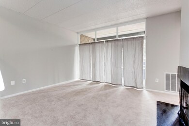 11557 Rolling Green Ct unit 201, Reston, VA 20191 - photo 4