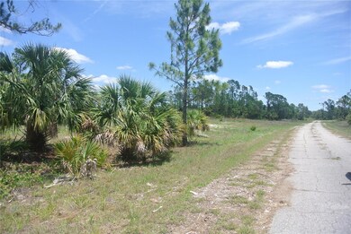 Come build your Florida Dream home or two.