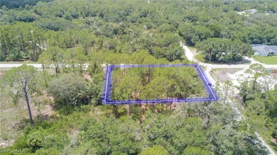 3201 E 14th St, Lehigh Acres, FL 33972 - photo 5