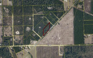 25248 Sr-247, Obrien, FL 32071 - photo 3