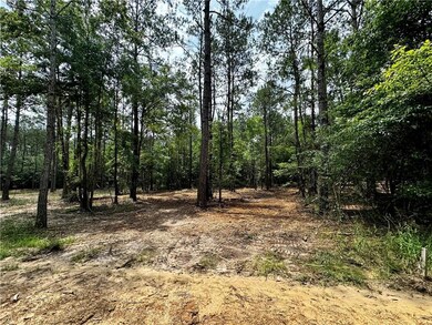 Lot 2 Ranchero Rd, Covington, LA 70435 - photo 2
