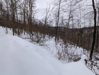 0 Rustic Rd, Pike Township, PA 16833 - photo 7