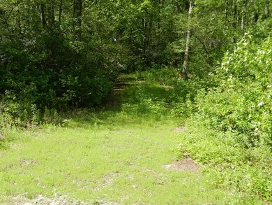 3 Hemlock St, Douglas, MA 01516 - photo 3