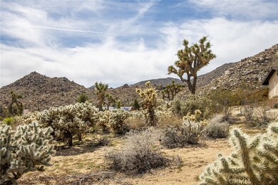 61100 Sandalwood Trail, Joshua Tree, CA 92252 - photo 4