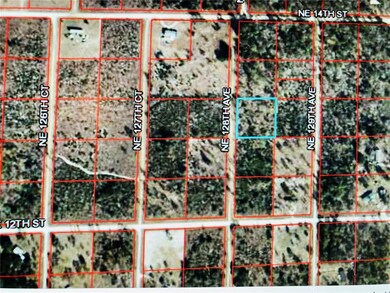 00 NE 128th Ave, Williston, FL 32696 - photo 2