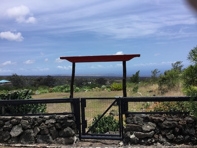 Rock wall, beautiful gate, view of back yard and South Point.