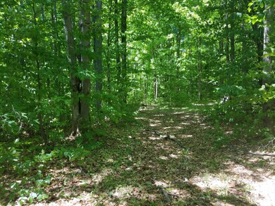 Side Trail