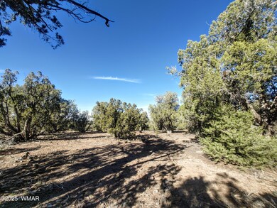 1841 Rocky Bottom Place, Show Low, AZ 85901 - photo 7