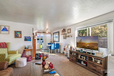 Living area featuring healthy amount of natural light, a textured ceiling, carpet, and a ceiling fan