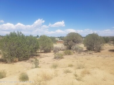 5302 Marcy Place, Farmington, NM 87402 - photo 4