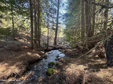 NNA Upper Manley Creek Rd West Lot, Laclede, ID 83841 - photo 3