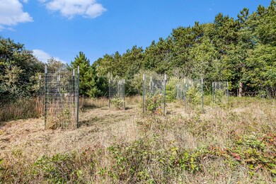 6788 120th Ave, Fennville, MI 49408 - photo 5