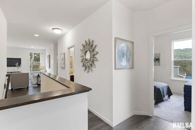 801 Williams Way, Carbon Cliff, IL 61239 - photo 4