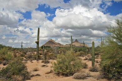 Commanding views of Pinnacle Peak