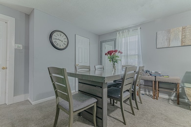 552 Walnut Ave, Elgin, IL 60123 - photo 6