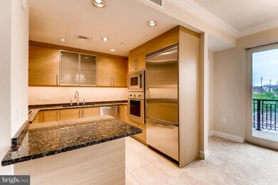 The Ritz-Carlton Residences, Baltimore, MD 21230 - photo 4