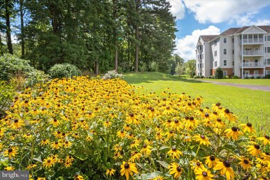 1103 S Schumaker Dr unit C107, Salisbury, MD 21804 - photo 4