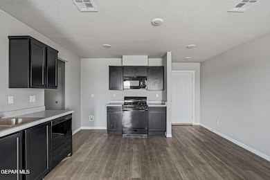 14376 Star Cactus Ave, Horizon City, TX 79928 - photo 5