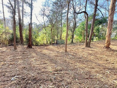 Back property line 1