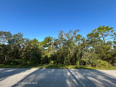 0 Nuzum Rd unit 2255389, North Weeki Wachee, FL 34613 - photo 4