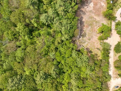 L#15 Rory Lane Private, Moultonborough, NH 03254 - photo 6