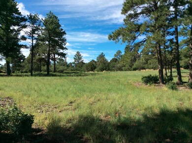 33070 Meadow Ridge Ln unit 3/Lots B-6 & B-, Trinidad, CO 81082 - photo 5