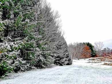 5364 Everson Rd, Blanchardville, WI 53516 - photo 7