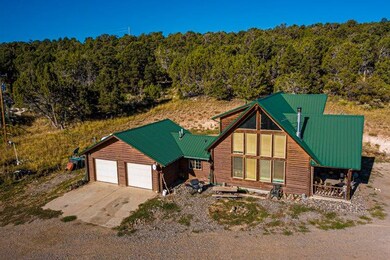 17586 2550 Rd, Cedaredge, CO 81413 - photo 5