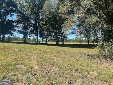 0 New Mexico Rd unit TRACT 1 (7.47 ACRES), Bowdon, GA 30108 - photo 4