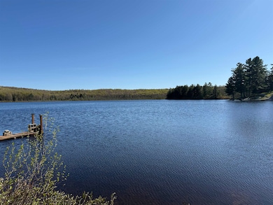 10 Miles Ln, Oswegatchie, NY 13670 - photo 6