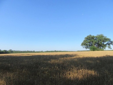 0 Mosley Rd, Uvalda, GA 30473 - photo 7