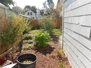 Yard/Garden.