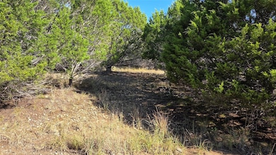 1801 Santa Cruz Cir, Lago Vista, TX 78645 - photo 5