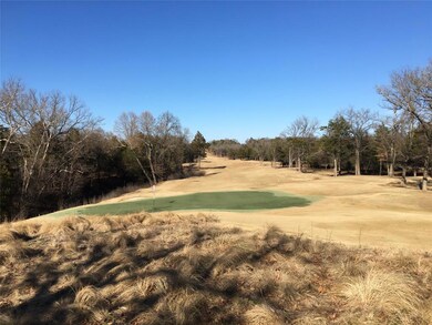 Lot 45 Pronghorn Dr, Gordonville, TX 76245 - photo 5