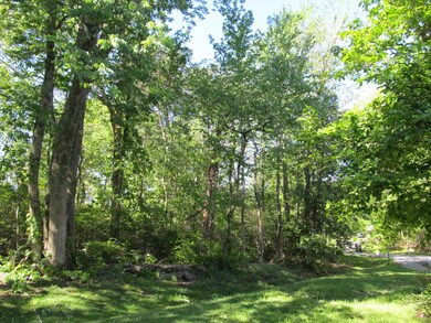 Mature shade trees make the perfect lawn