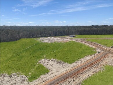 0 Lot 12 Highway 62 unit 2492795, Franklinton, LA 70438 - photo 4