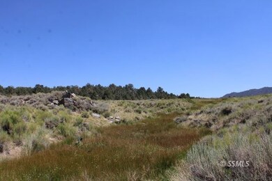 0 Kennedy Meadows Rd unit 2607468, Unincorporated, CA 93527 - photo 6