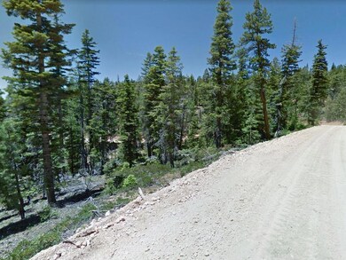 Lot & Subdivision Road1