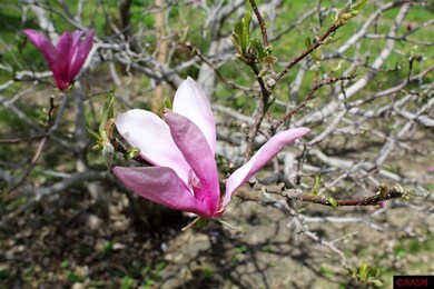 1427 Cherry St, New Ulm, MN 56073 - photo 5