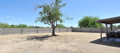 Large Yard