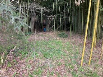 2222 Clarks Chapel Rd, Franklin, NC 28734 - photo 3