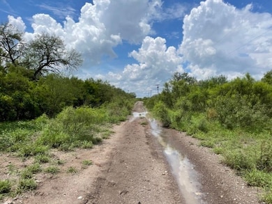 unlisted-address, Freer, TX 78357 - photo 4