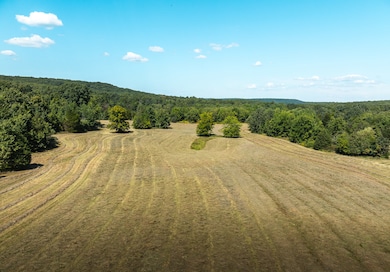 0 Highway 221 unit 11571616, Ironton, MO 63650 - photo 7