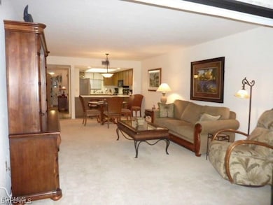 4386 Jib Boom Ct unit 1E, Fort Myers, FL 33919 - photo 6