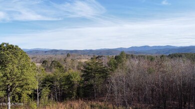 dji_fly_20250125_154630_697_173784091787